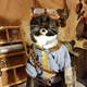 Illustration for article titled Weve Had Enough iFallout/i Dogs. Its Vault Cats Time.